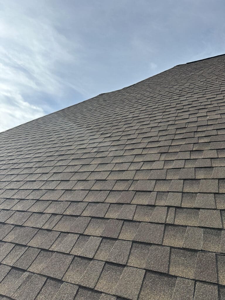 large roof