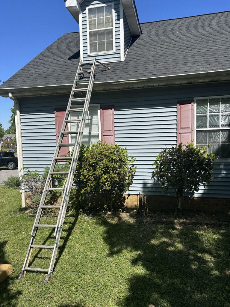 ladder and roof